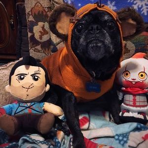 Meet your Posher, Andrew